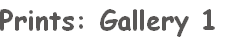 Prints: Gallery 1